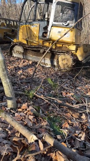 Exploring Logging Life in East Tennessee