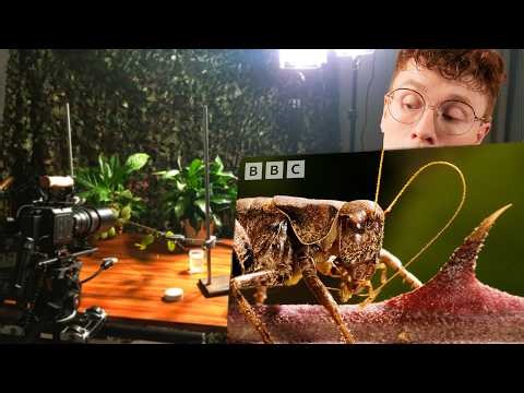 This Wildlife Film Didn't Go to Plan | BBC Autumnwatch Behind the Scenes (BTS)