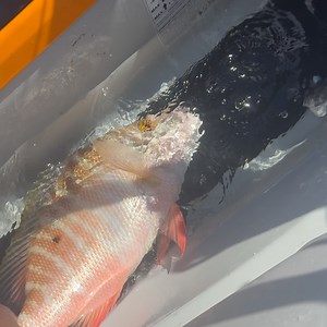 Emmanuel Williams on Reels