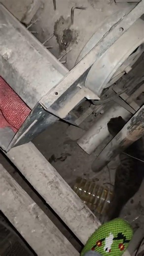 Meow could you give me a little help Could you stretch out one paw and put it here to pet