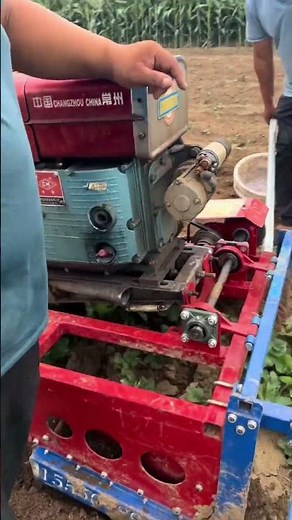 Part 1 Strawberry seedling machine strawberry seedling machine strawberry front receiving