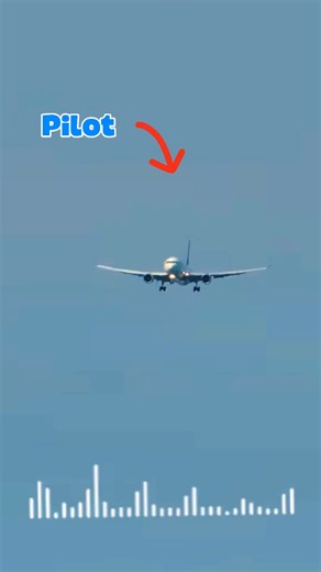 Mayday! priority landing denied.child onboard in medical crisis _a sever allergic reaction after an in flight dessert. a while airfocre take priority @Krispy Flight #aviationlovers #MayDay #pilot #atc #Aviation | Thebuzzertv