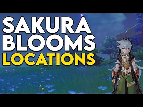 Where to find, and how to harvest, Sakura Blooms in Genshin Impact
