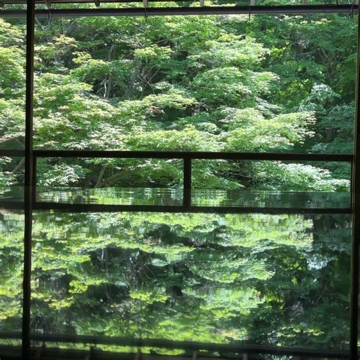 瑠璃光院 比較的穴場だったりして･･･ #瑠璃光院 #景色 #反射 #京都 #叡山電鉄 #BQQ #比叡山 #散策