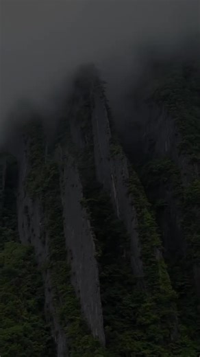 Exploring the Dangers of the Amazon Jungle