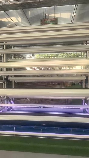 Rotating Hydroponics.#hydroponic #hydroponicfarm | Greenhouse hydroponics supplier | Facebook