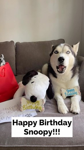 #sponsored Happy Barkday Snoopy! Do you want to help celebrate Snoopy’s big day!? You can go sign Snoopy’s virtual birthday card at the link in my bio! @metlifepetinsurance #metlifepartner #happybirthdaysnoopy Coverage issued by Metropolitan General Insurance Company (“MetGen”), a Rhode Island insurance company, headquartered at 700 Quaker Lane, Warwick, RI 02886, and Independence American Insurance Company (“IAIC”), a Delaware insurance company, headquartered at 11333 N Scottsdale Rd, Ste 160, 