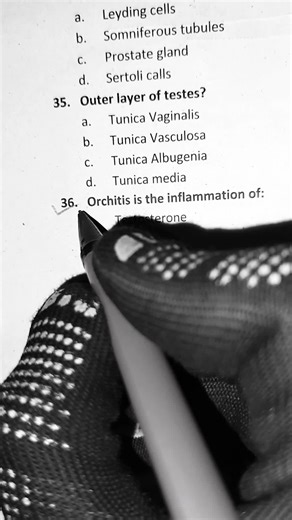 Understanding Orchitis: Causes and Symptoms Explained