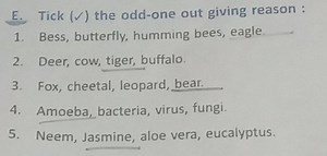 Tick (\checkmark) the odd-one out giving reason :... | Filo