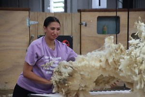 From woolhandling judge to competitor