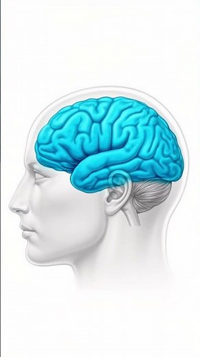 Adult ADHD Is an Executive Function Disorder — Here’s What That Means