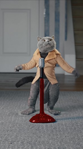 He will never give you up. #fyp #cats #rickroll