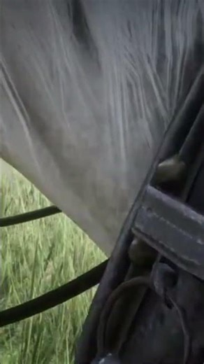 Taming a Stranger’s Horse – Calm & Ride