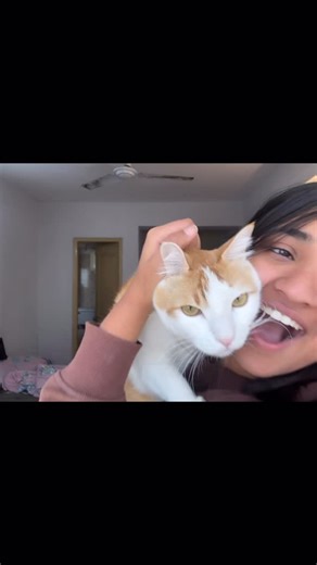 Anshika Agarwwal | #day19✔️ Using trending songs#retable #documentary 🥰 | Instagram