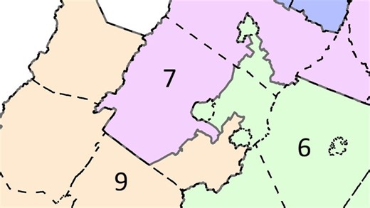 Virginia supervisors oppose splitting their county into 3 districts
