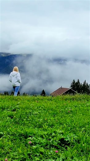 BENZING PARTNER SUMMIT 2025 DAY#3 3 fantastic days not only about pigeon sport but friendship, stories, emotions…this is our #community this is #benzingfamily | BENZING - Gantner Pigeon Systems GmbH