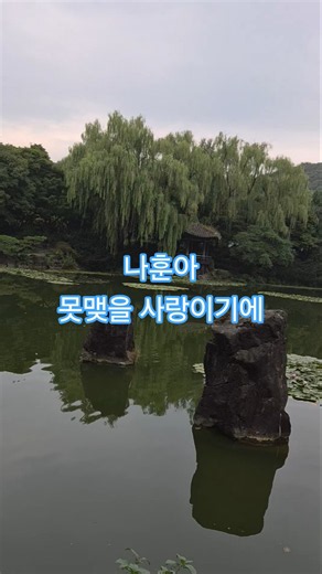 #나훈아 #나훈아노래 #나훈아노래모음 #트로트 #꽃 #호수뷰