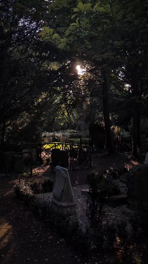 when i say i know a spot #cemetery #gothic #graveyard #gloomy #darkaesthetic