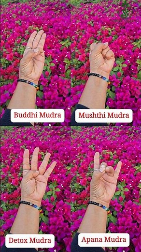 4 Powerful Mudras to Cure Constipation & Detox Body Naturally | Easy Daily Practice | Yoga Shakti