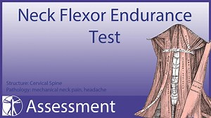 21K views · 42 reactions | SPINE ASSESSMENT SERIES PART 16: NECK...