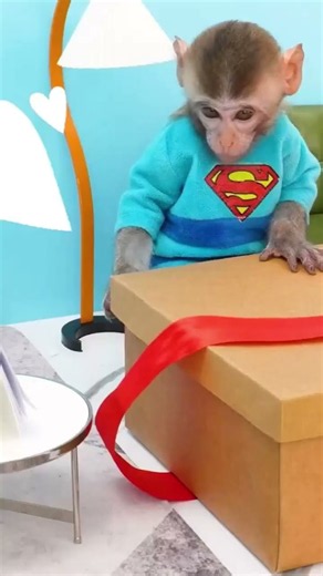 Funny monkey videos #funny #fun #monkeyfunny #funnyvideos #babyfunny
