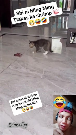 #fypシ #fbreelsfypシ゚viralvideo #lemsvlog #videograms #highlighteveryone #funnyvideos | lemsvlog