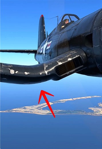 Wings Like a Seagull? Military Aircraft Facts