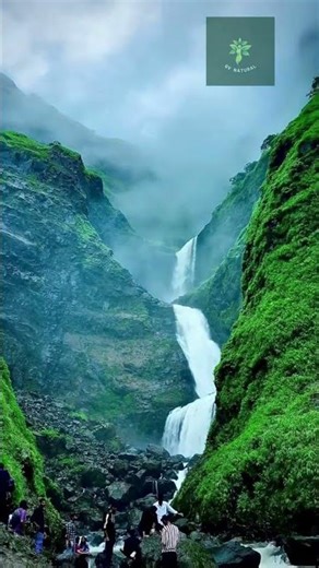 Relaxing Nature Views 🌊🍃 | Amazing Nature Moments#travel #nature #shorts #shortsfeed