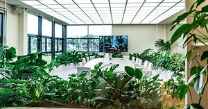 Join the elho team - elho® - Give room to nature