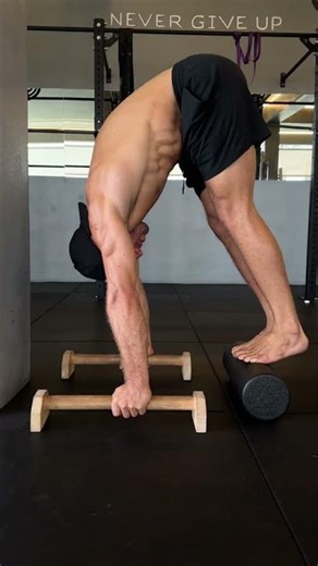 Protraction & Compression