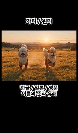 포켓몬 가디, 윈디 한글명/일본명/영문명 뜻 #포켓몬스터 #ポケットモンスタ #pokemonster