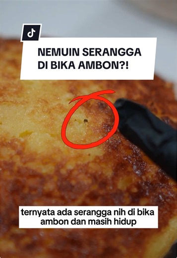 Mengungkap Isu Serangga di Bika Ambon