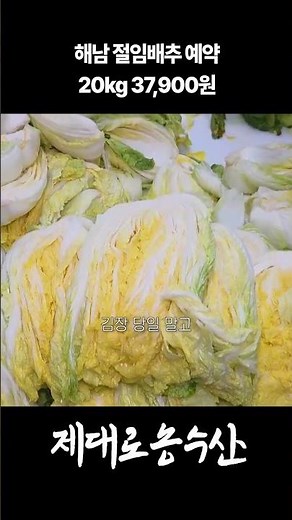 Haenam pickled cabbage 20kg 37,900 won pre-order