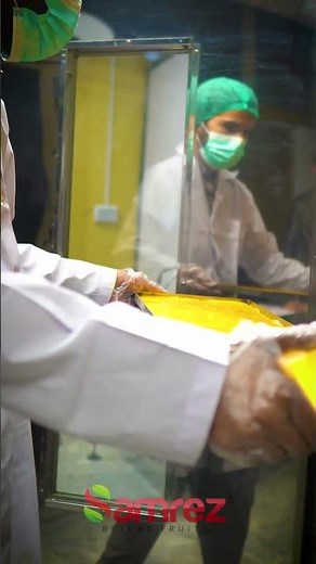 Manufacturing Process Mango Fruit Leather | Samrez