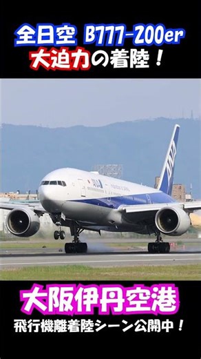 【大迫力】全日空 B777-200er 伊丹空港に着陸！伊丹スカイパークで撮影