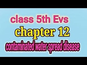 class 5th Evs chapter 12 contaminated water spread disease Question and answer