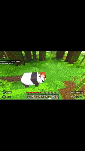 Found my First Panda! #minecraft #cute #gamer #gaming