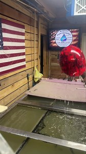 Hear No Evil See No Evil pattern on a half shell motorcycle helmet. Have a helmet you want to customize? Season almost over. Send us your helmet to customize. Have over 150 designs in stock. #outdoors #oddlysatisfyingvideo #merica #hydrodip #smallbusinessbigdreams #smallbiz #work #custom #fypシ #viral #supportsmallbusinessowners #angerthydrographics #satisfy #satisfyingvideos #satisfying | Angert's Hydrographics