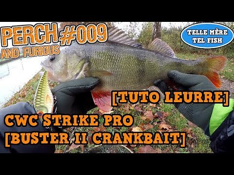 🐟S02-E65-[TUTO LEURRE] PRÉSENTATION DE LEURRE #3 [CWC STRIKE PRO][BUSTER II CRANKBAIT][HD]
