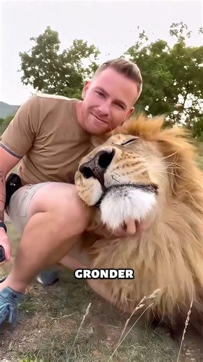 Pourquoi on ne crie jamais sur un léopard ? 🐆