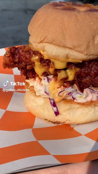 Emang boleh burgernya segede muka? 👀 ini diaa menu baru dari Gallus Fried Chicken! Sekarang Gallus punya menu chicken burger yang enaknya ada di setiap gigitan 😋 yuk buruan cobain guyyss 💨 #gallusfriedchicken #gallussolo #galluschicken #jajanantiktok #tongkrongansolo #placetogosolo #burgerdisolo #makandisolo #FlavorsforEveryone #wheretogojogja #placetogojogja #jajandisolo