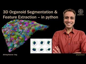 3D Organoid Segmentation and Feature Extraction - in python