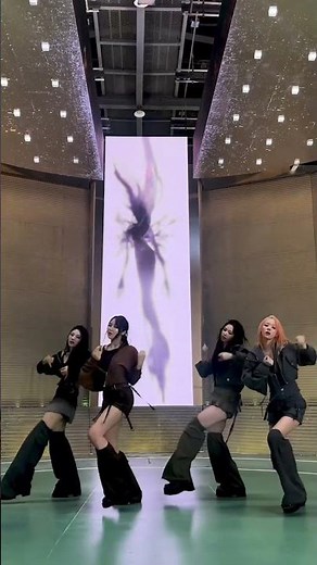 aespa 'Armageddon' Dance Practice #Mirrored