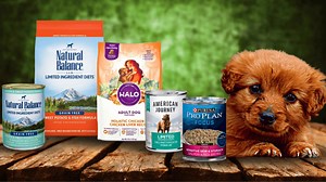 The 8 Best Dog Foods for Acid Reflux [ 2023 Update ]