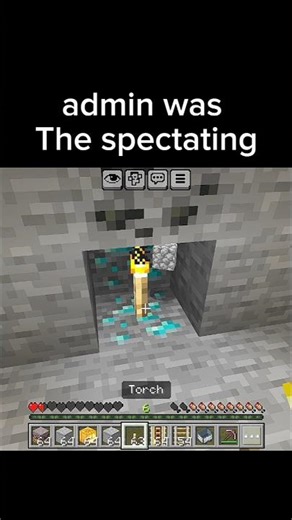 The minecraft admin manager moment 😮