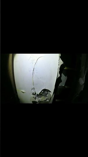 廃墟内に「菊咲一花」の文字が書かれていた！