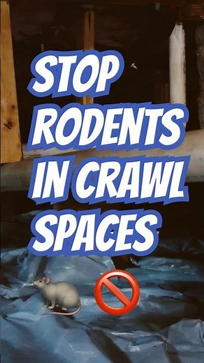 Keep Rodents Out of Crawl Spaces