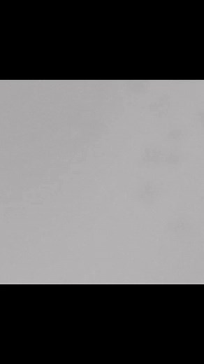 Cook Islands ❤️ #freedive #eagleray | Stuart Webster