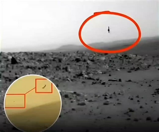 Çetin Bozkurt on Instagram: "A weird "flying object" spotted in Mars rover footage has people arguing again 👀🛸 Some say UFO. Some say Martian insects (yes, really). NASA experts say it's likely dust close to the camera lens — but this one moves erratically and honestly looks like a dragonfly or something with propulsion. I ran Al detection — no flags. I found the original photo — still wild. 🎥 Credit: NASA/JPL Dust... optical illusion... or something else entirely? Jan 08, 2026"