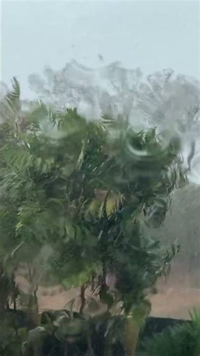 pluvia | 7h Rain on Window with Windy Forest View – Deep Ambience #Shorts